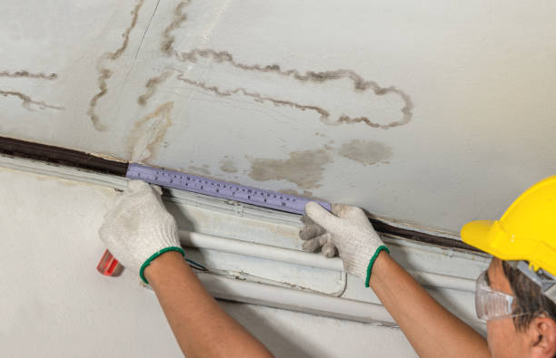 Reliable Water Damage contractor in North Street, MI by Water Damage Irwin